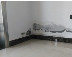 花都周邊專業防水補漏服務 全面解決廁所漏水、窗臺滲水與衛生間維修難題